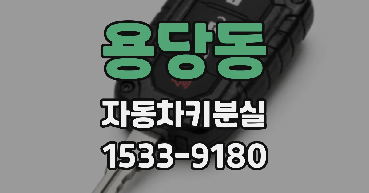 용당동 자동차키분실