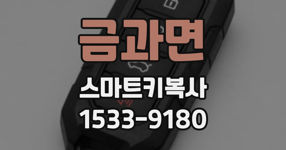 금과면 스마트키복사