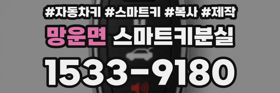 망운면 스마트키분실