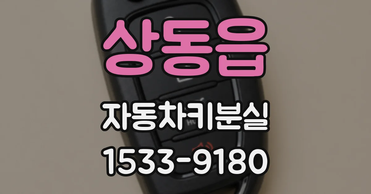상동읍 자동차키분실