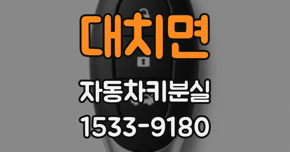 대치면 자동차키분실