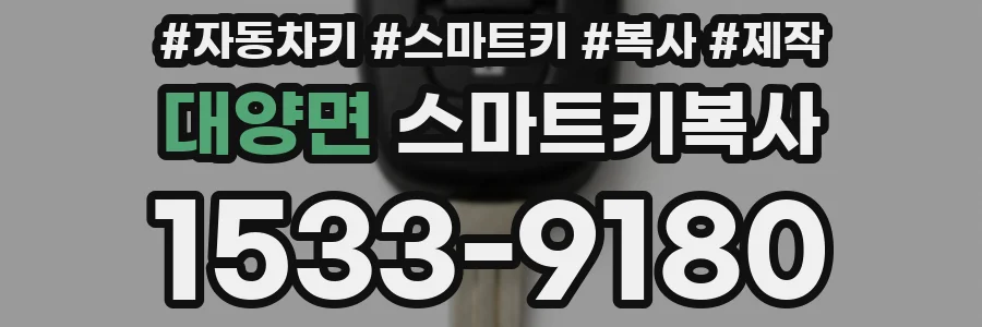 대양면 스마트키복사