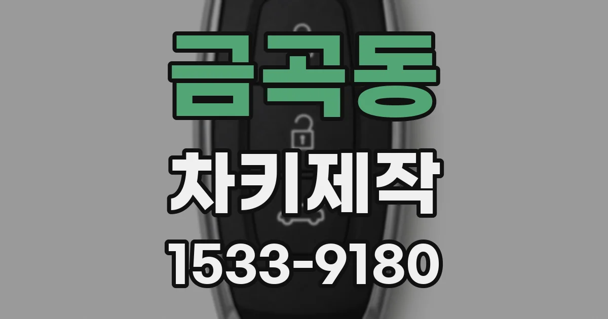금곡동 차키제작