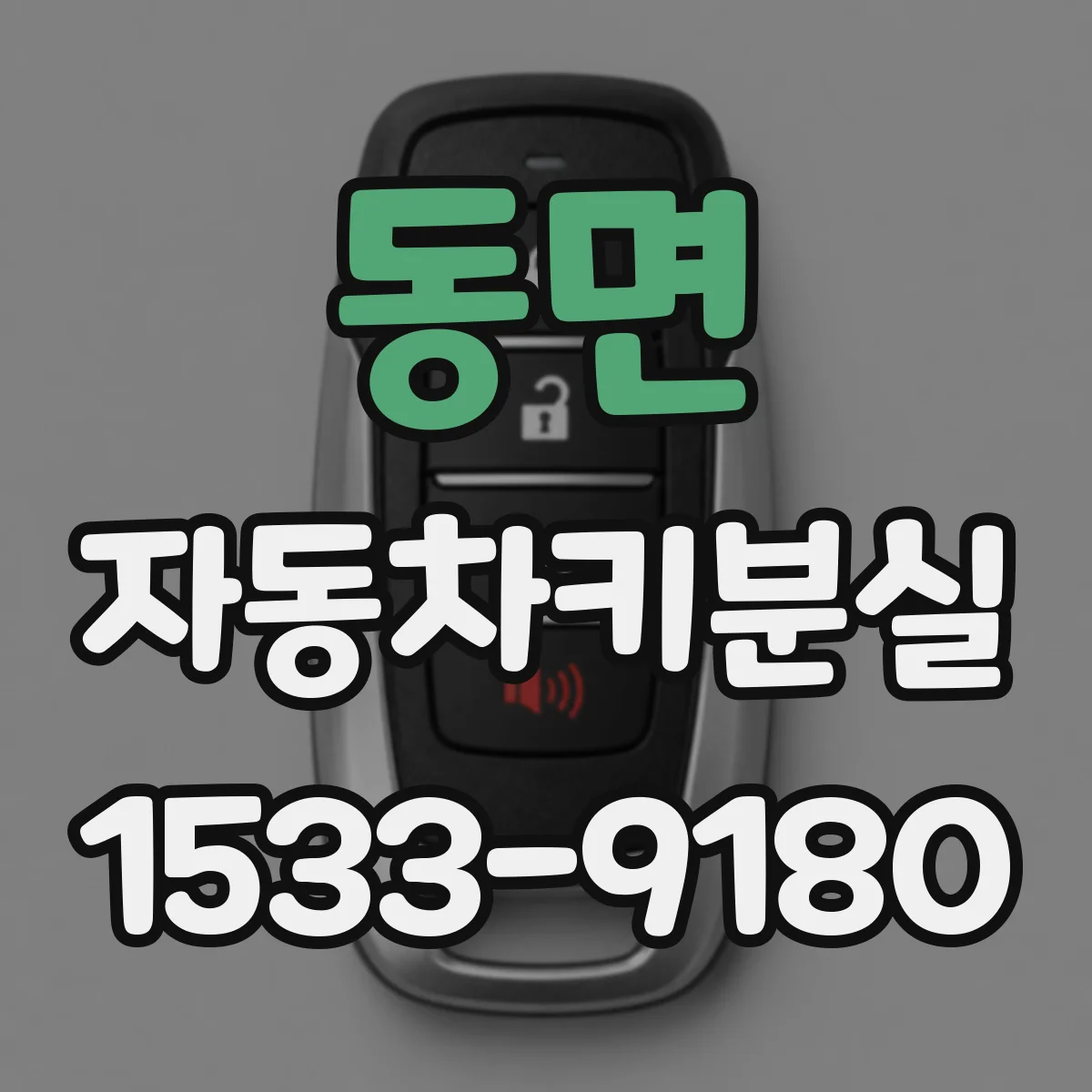 동면 자동차키분실