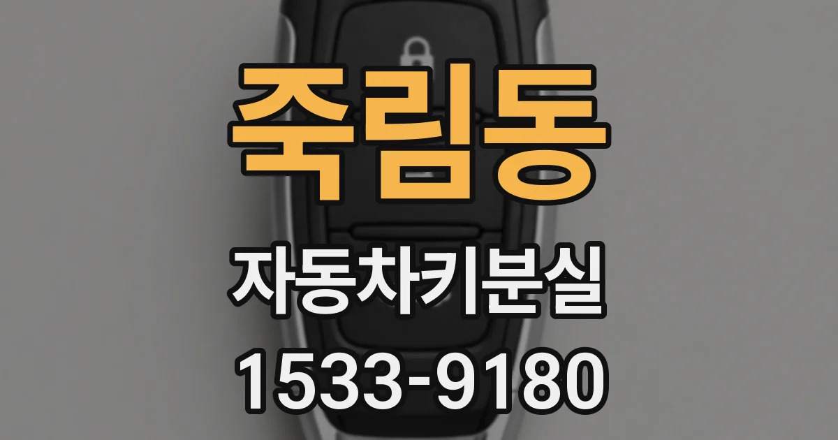 죽림동 자동차키분실