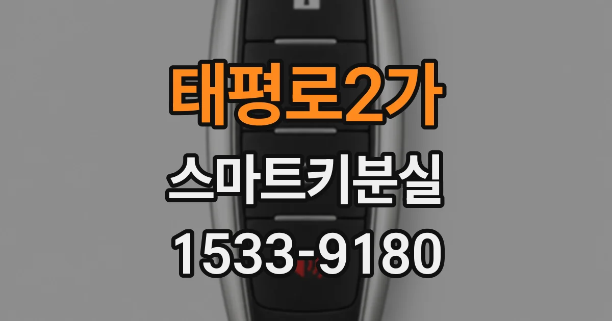 태평로2가 스마트키분실