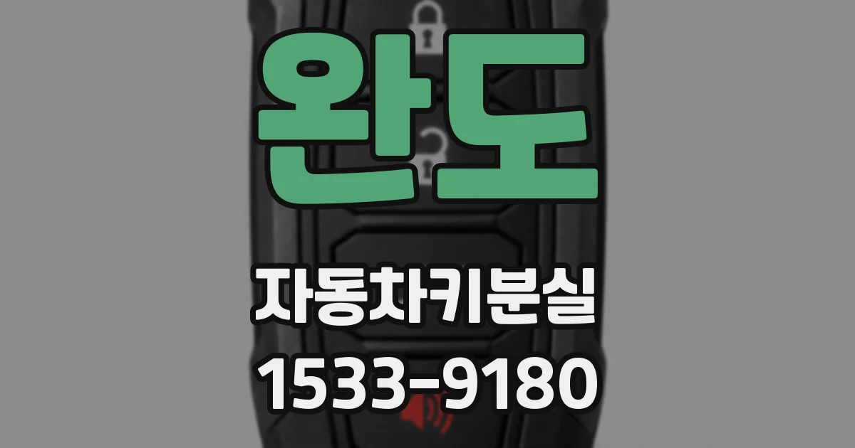 완도 자동차키분실