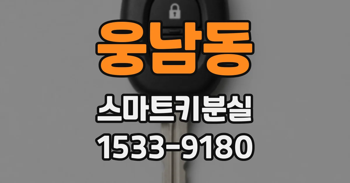 웅남동 스마트키분실
