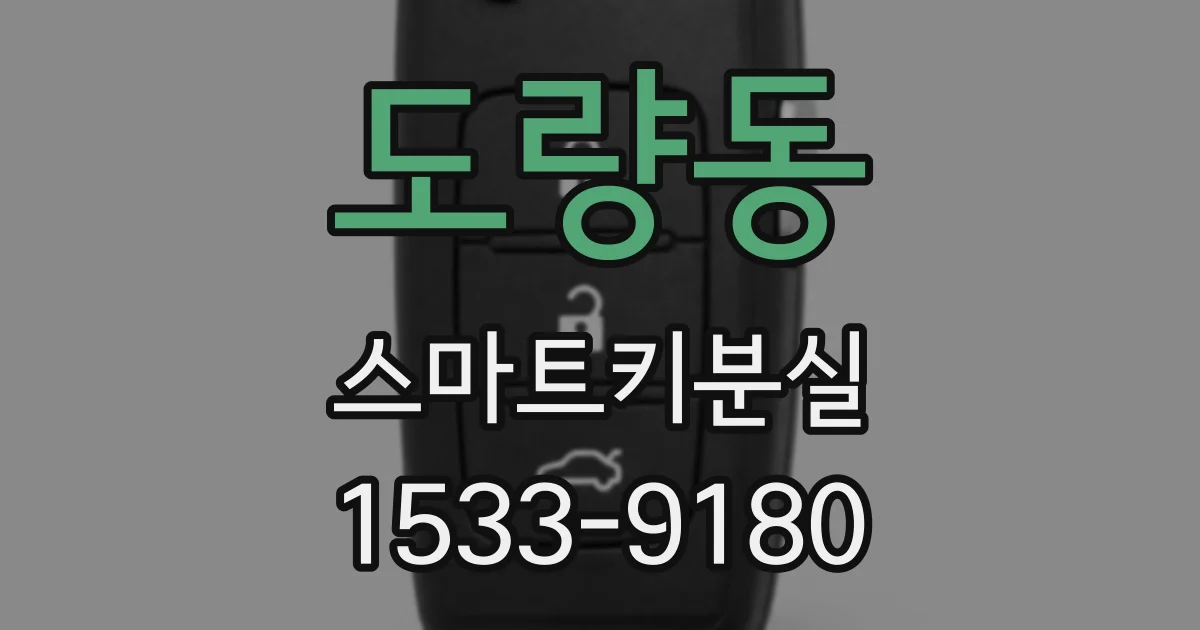 도량동 스마트키분실