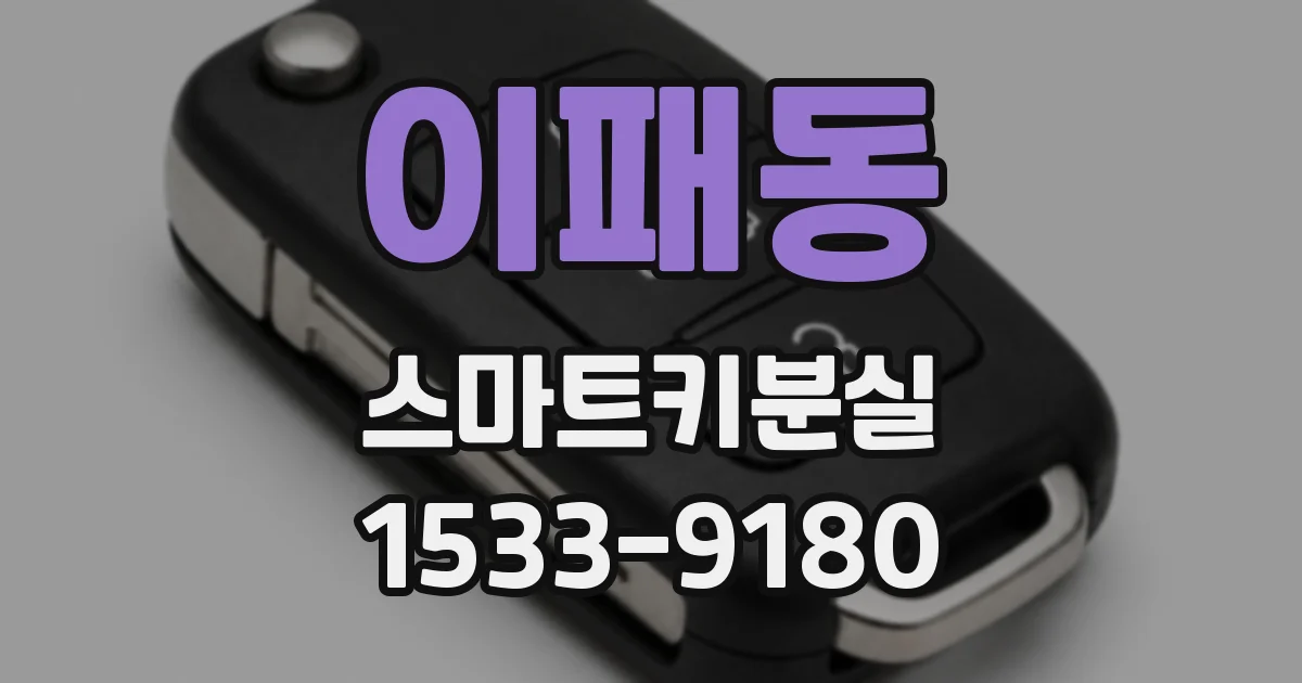 이패동 스마트키분실