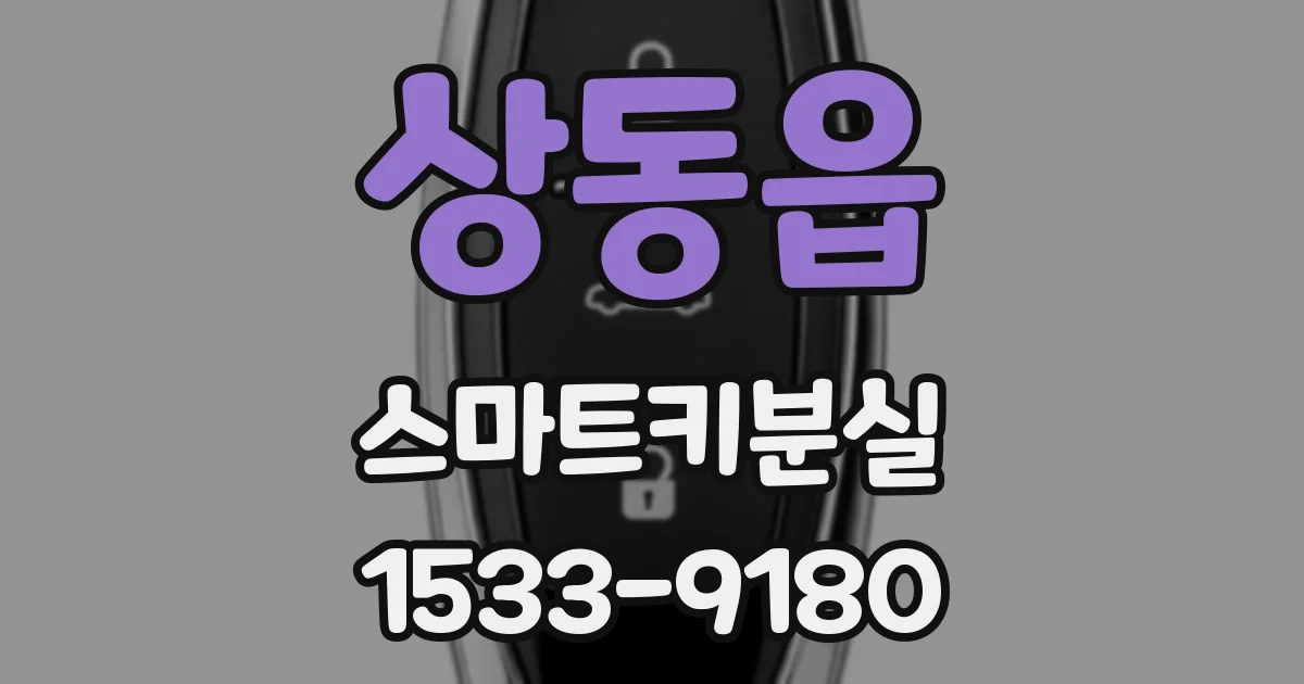 상동읍 스마트키분실