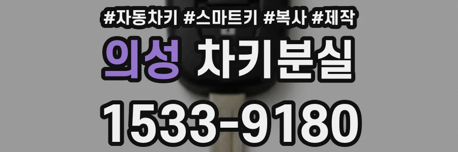 의성 차키분실