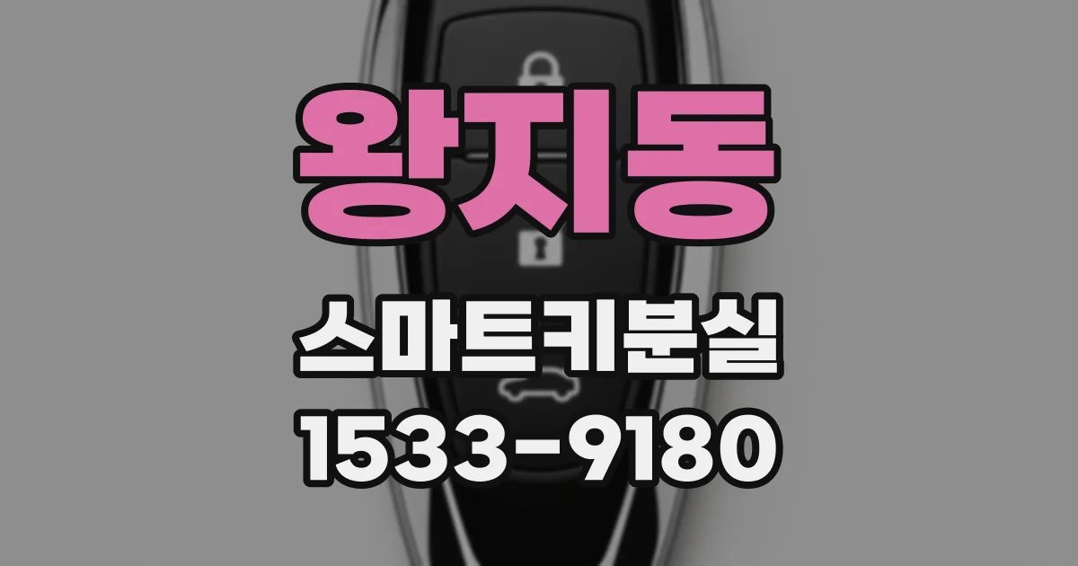 왕지동 스마트키분실