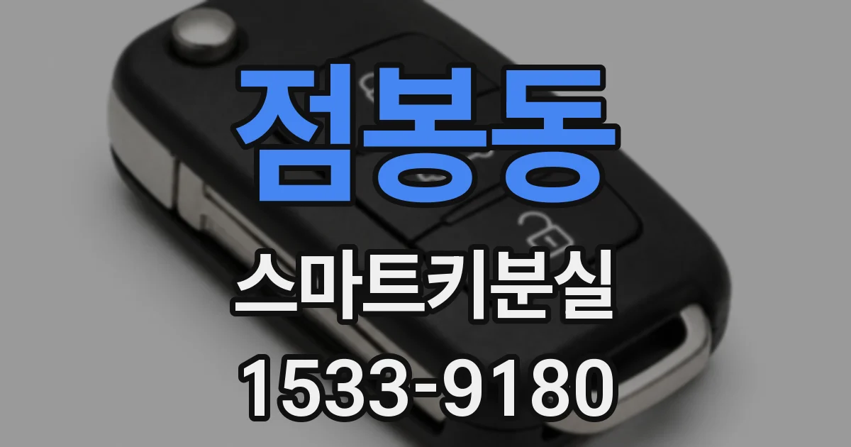 점봉동 스마트키분실