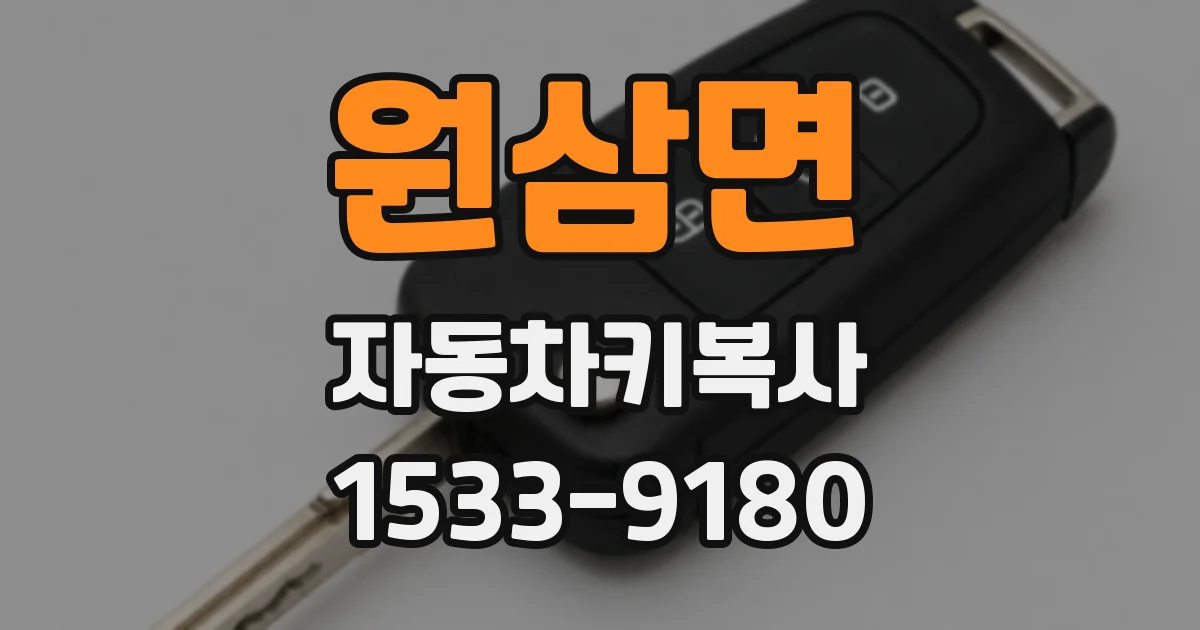 원삼면 자동차키복사