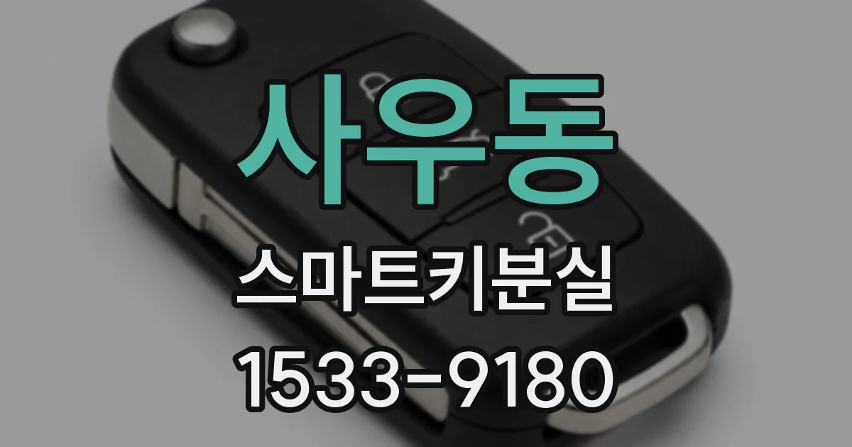 사우동 스마트키분실