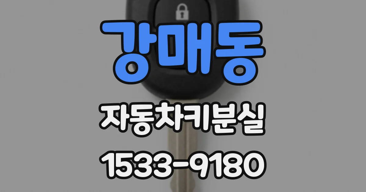 강매동 자동차키분실