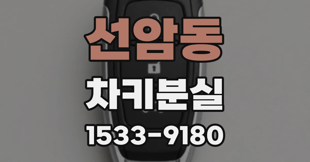 선암동 차키분실