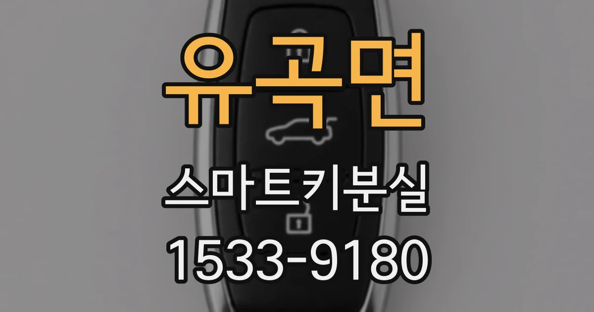 유곡면 스마트키분실