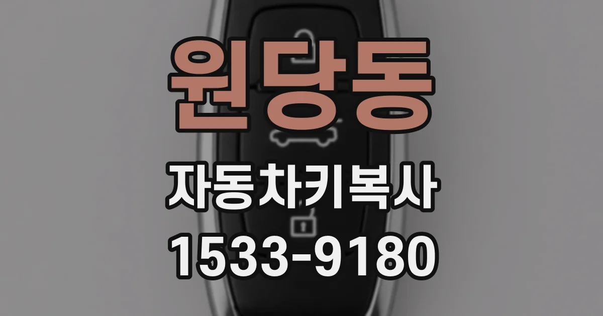 원당동 자동차키복사