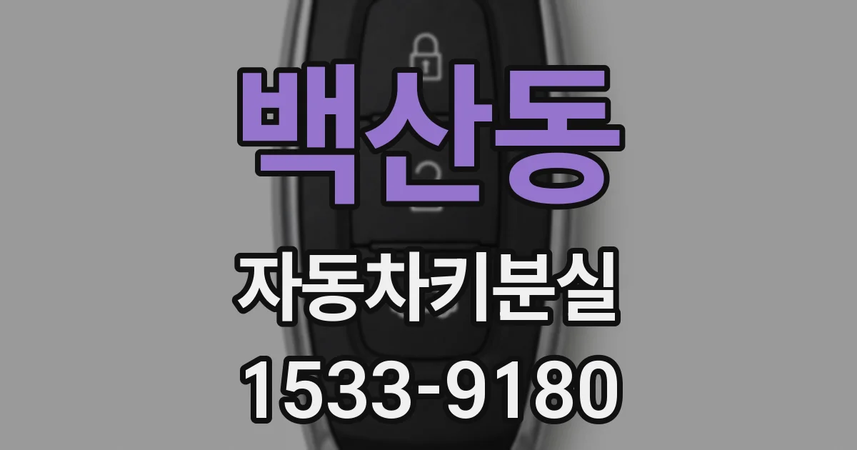 백산동 자동차키분실