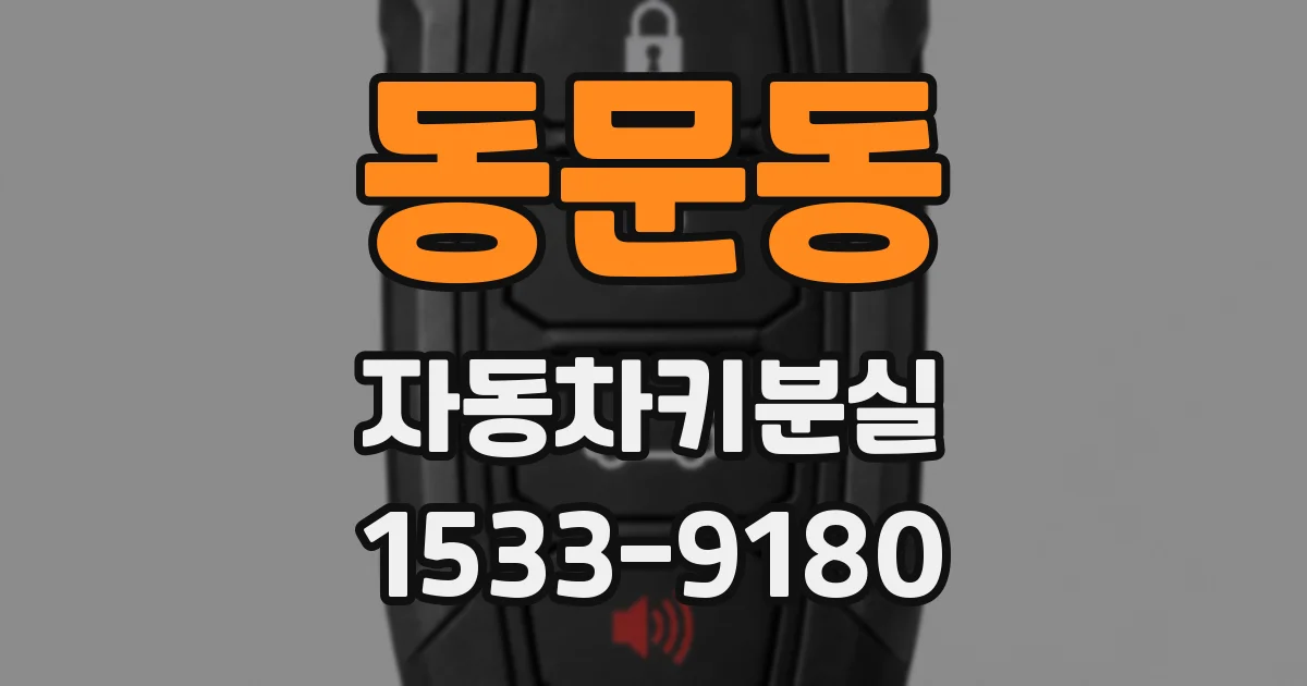 동문동 자동차키분실