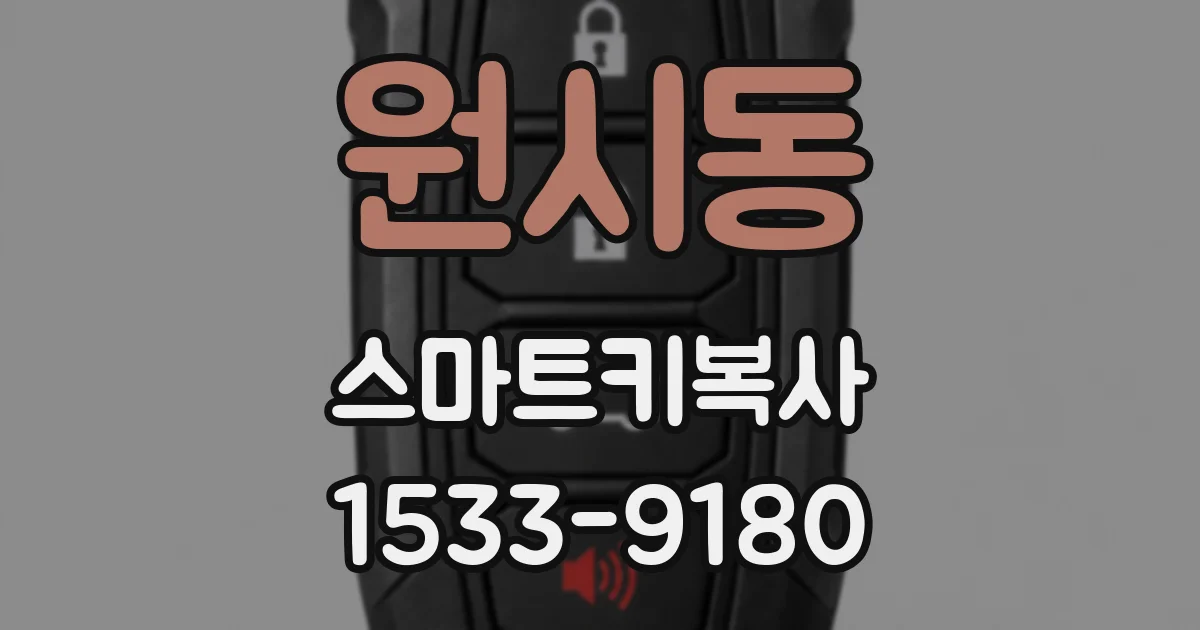 원시동 스마트키복사