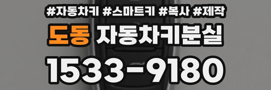 도동 자동차키분실