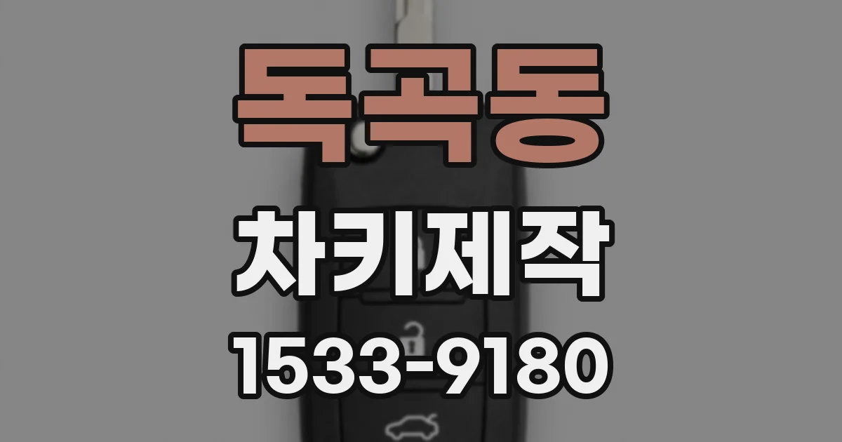 독곡동 차키제작