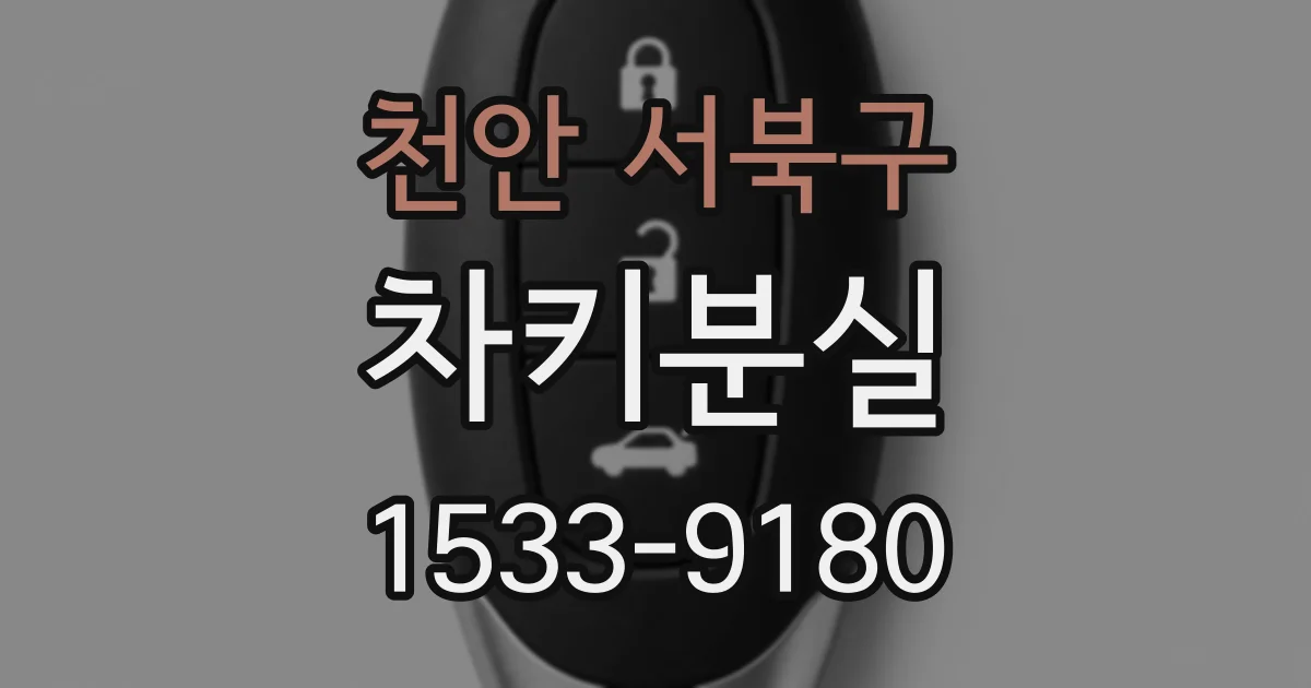천안 서북구 차키분실