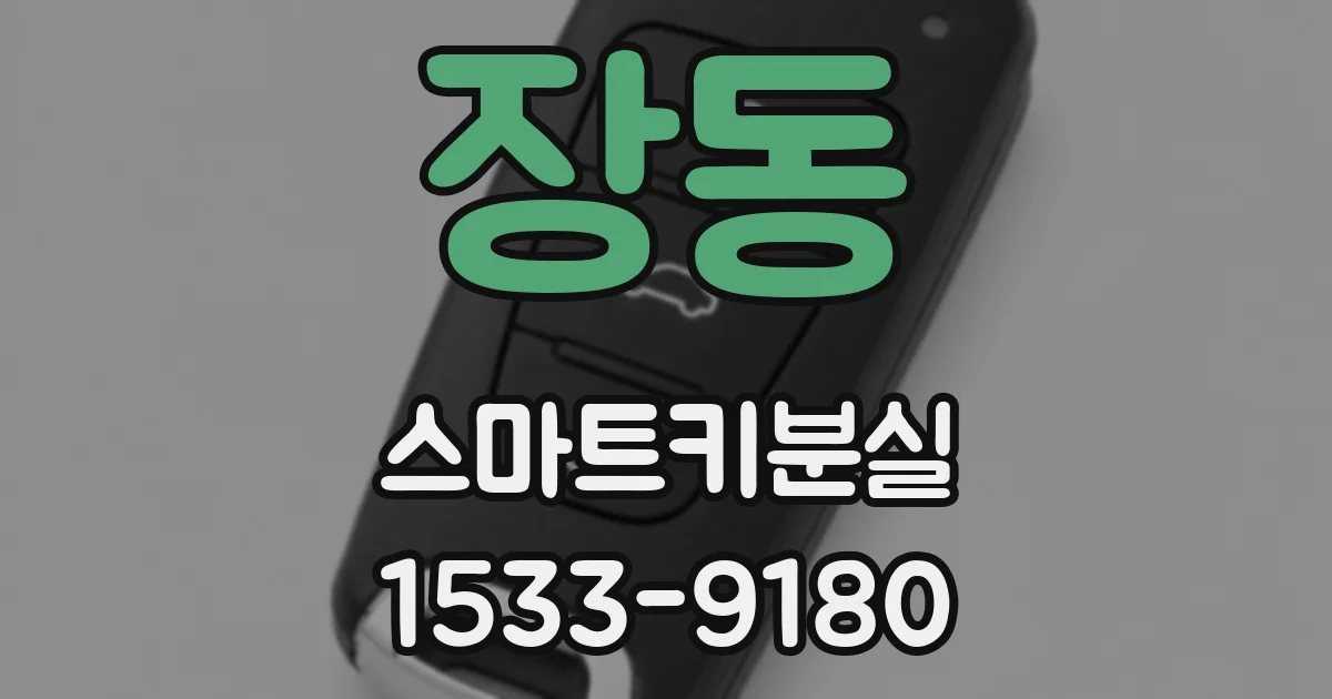 장동 스마트키분실