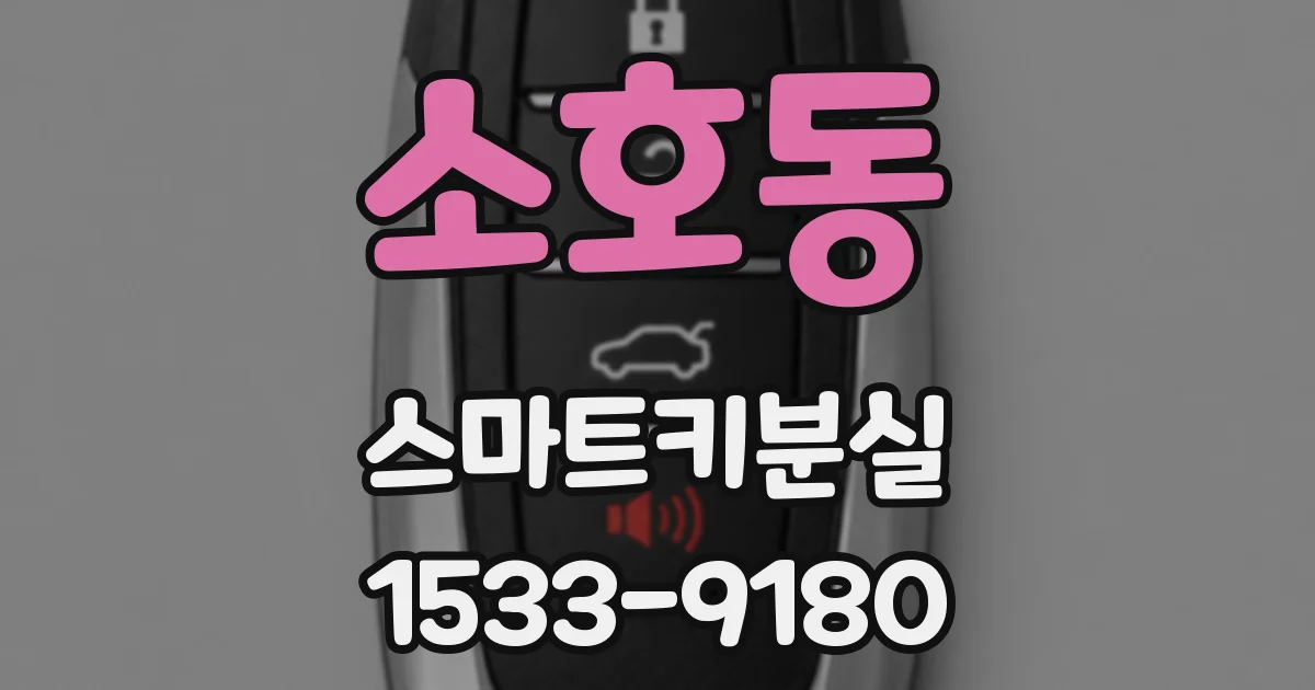 소호동 스마트키분실