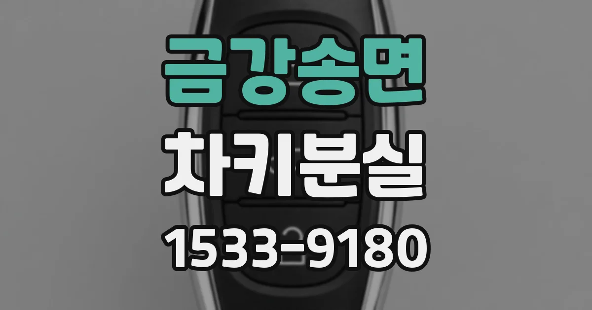 금강송면 차키분실