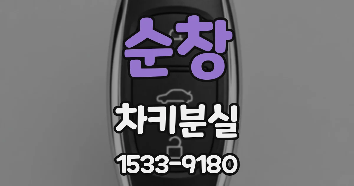 순창 차키분실