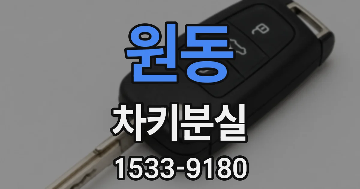 원동 차키분실
