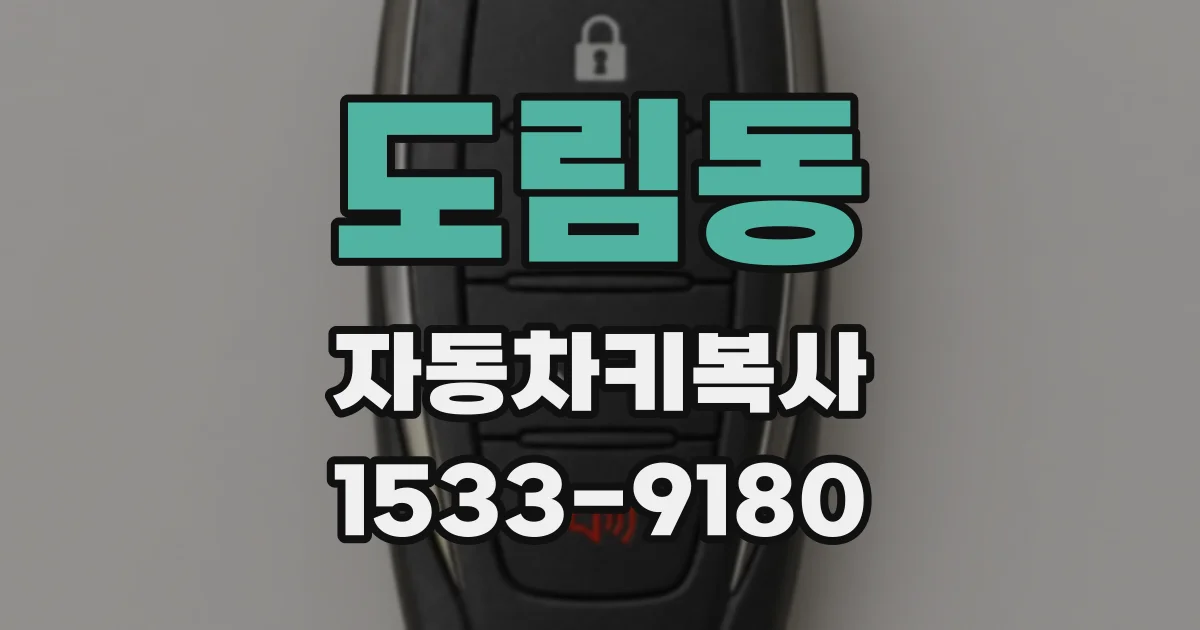 도림동 자동차키복사