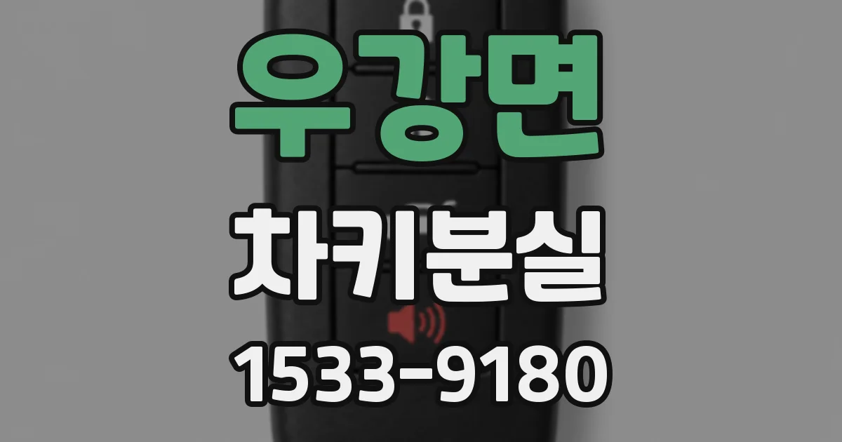 우강면 차키분실