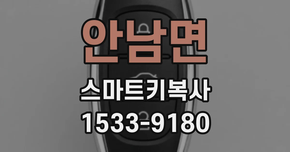 안남면 스마트키복사