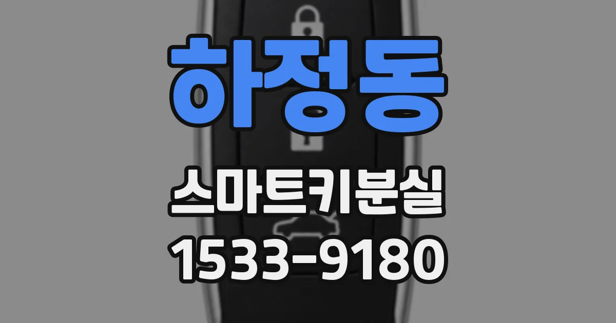 하정동 스마트키분실
