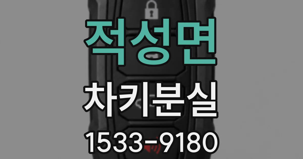 적성면 차키분실