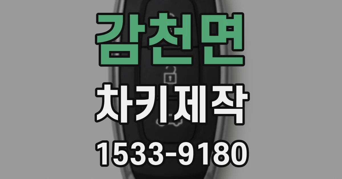 감천면 차키제작