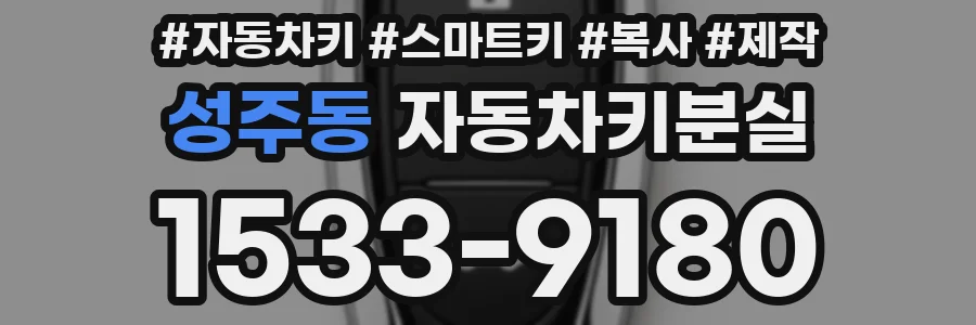 성주동 자동차키분실