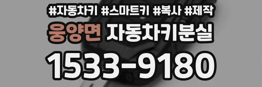 웅양면 자동차키분실