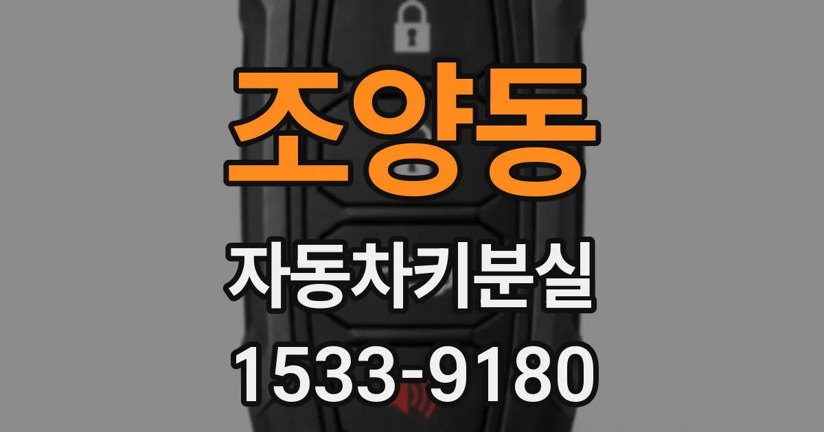 조양동 자동차키분실