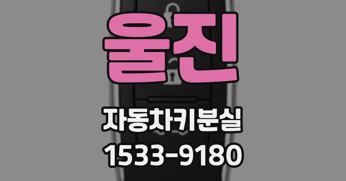 울진 자동차키분실