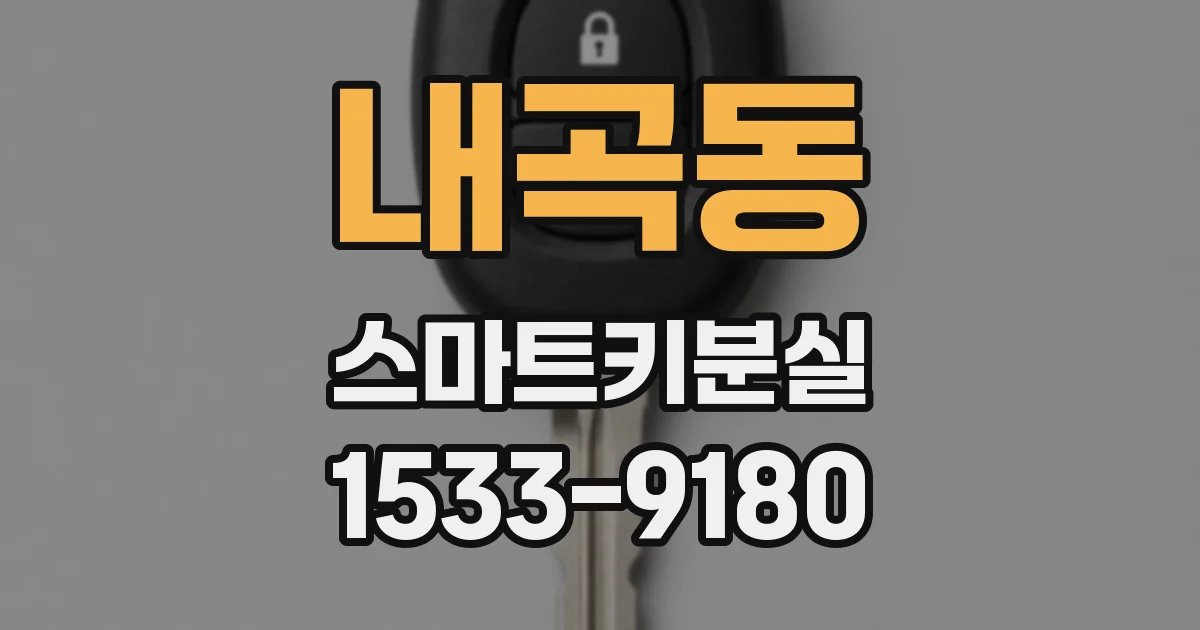 내곡동 스마트키분실