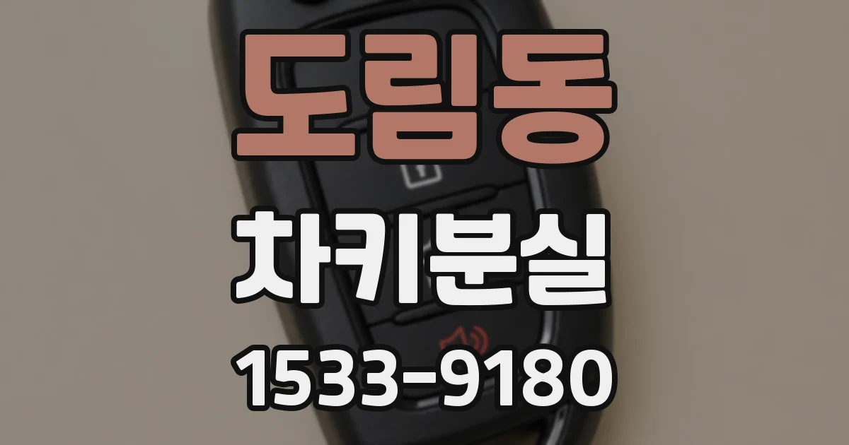 도림동 차키분실