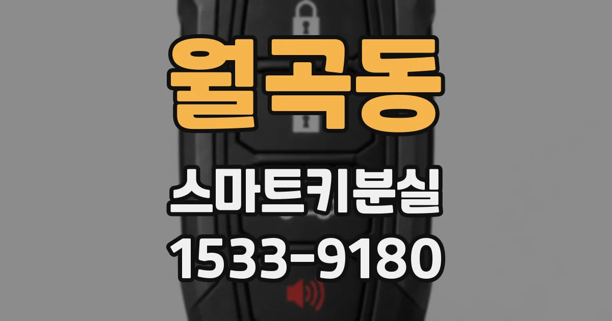 월곡동 스마트키분실