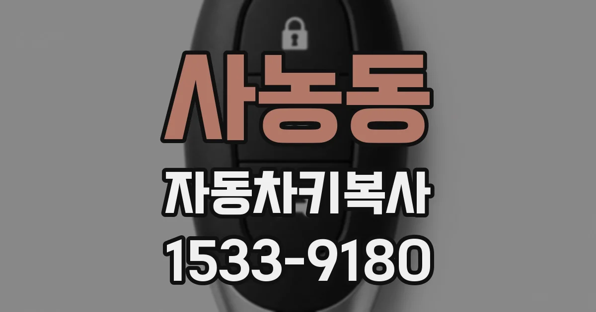 사농동 자동차키복사