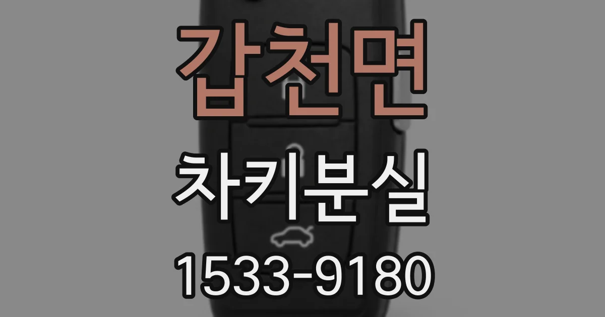 갑천면 차키분실